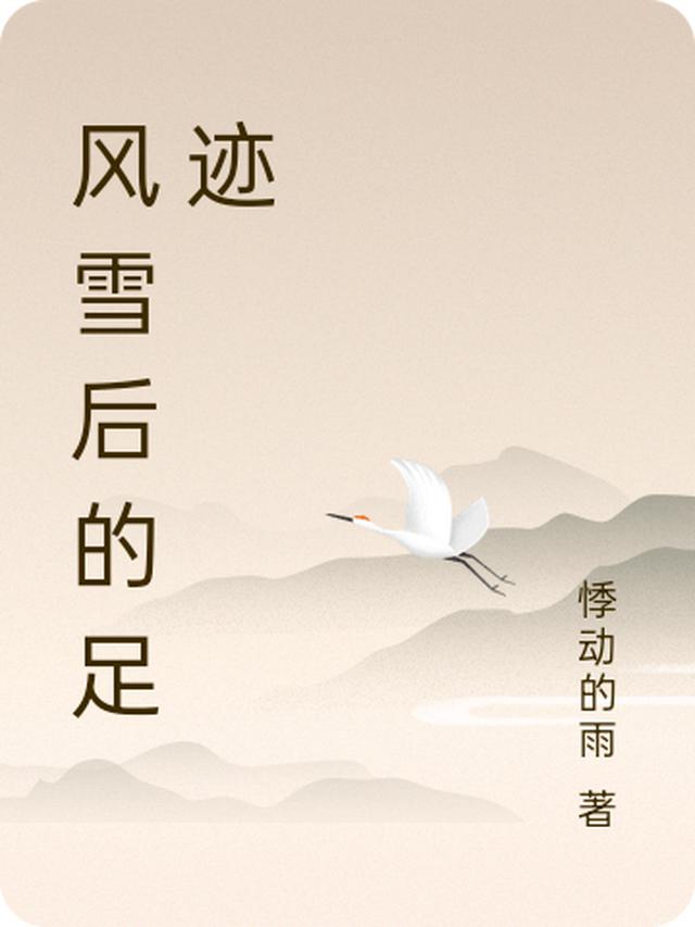 风雪后的足迹