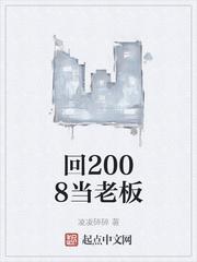 回2008当老板