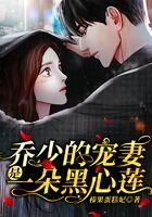 乔少的宠妻是一朵黑心莲