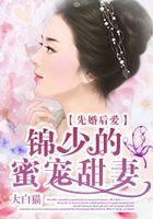 先婚后爱：锦少的蜜宠甜妻