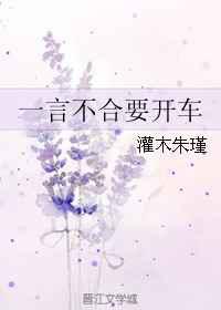 一言不合要开车