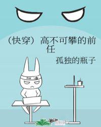 高不可攀的前任