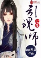 引魂师七夜