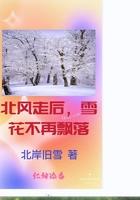 北风走后，雪花不再飘落