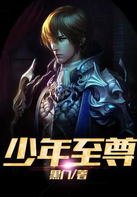 少年至尊