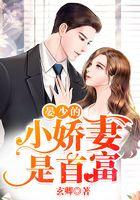 晏少娇妻是首富