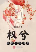 权兮我愿一往情深