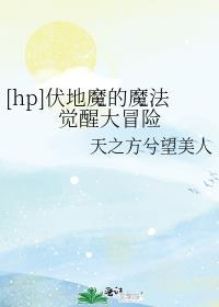 伏地魔的魔法觉醒大冒险