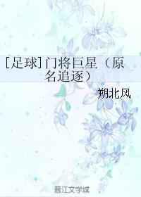 门将巨星／追逐