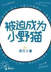 被迫成为小野猫／修正be小黄文