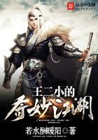 王二小的奇妙江湖