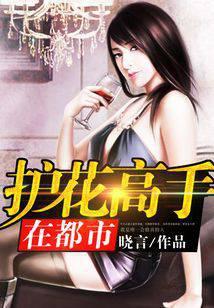 护花高手在都市