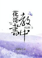 花哥教书中