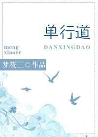 单行道，逆行爱／单行道
