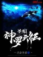 圣痕：神罗天征