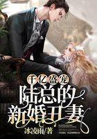 千亿盛宠，陆总的新婚丑妻