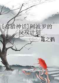 阿波罗的反攻计划