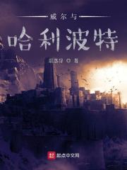 威尔与哈利波特