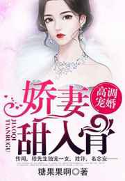 高调宠婚：二婚娇妻甜入骨／高调宠婚：娇妻甜入骨／第一暖婚：穆先生，爱妻成瘾