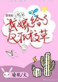 穿书后我嫁给了反派校草