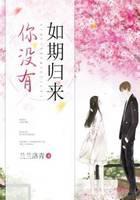 你没有如期归来