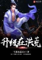 升级在洪荒