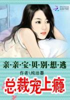 总裁宠上瘾：亲亲宝贝别想逃
