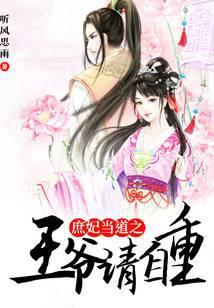 庶妃当道之王爷请自重