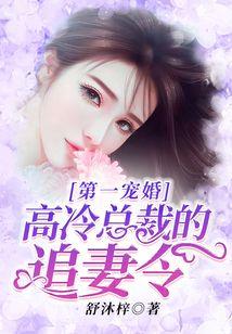 第一宠婚：高冷总裁的追妻令