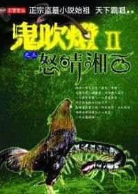 鬼吹灯Ⅱ之三·怒晴湘西