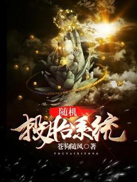 随机投胎系统