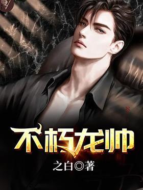 不朽龙帅