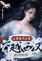 穿越西汉之萧楚风云录