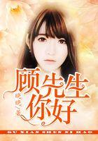 顾先生，你好