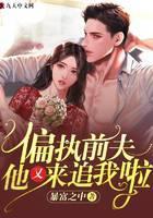偏执前夫，他又来追我啦