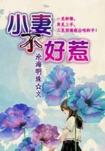 小妻不好惹