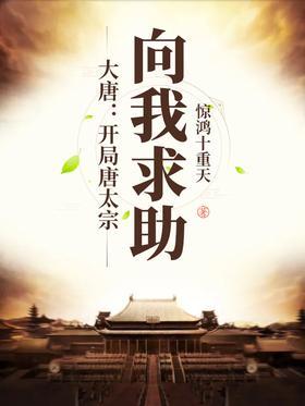 大唐：开局唐太宗向我求助