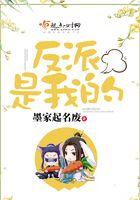 反派是我的