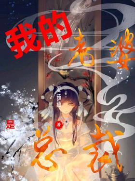 我的老婆是总裁
