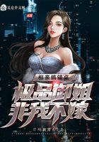 相亲搞错桌，极品御姐非我不嫁