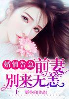 婚情告急：前妻，别来无恙