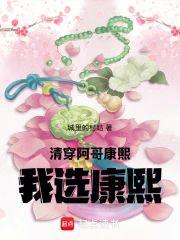 清穿：阿哥，康熙，我选康熙