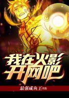 我在火影开网吧