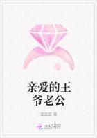 亲爱的王爷老公