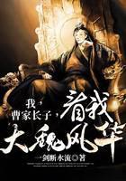 我，曹家长子，看我大魏风华！