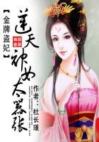 偷心盗妃