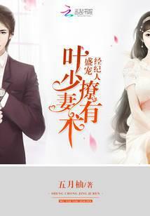 盛宠经纪人：叶少撩妻有术