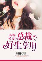 新婚娇妻：总裁好生享用