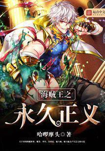 海贼王之永久正义