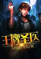 王牌圣医